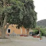 Terra Mia